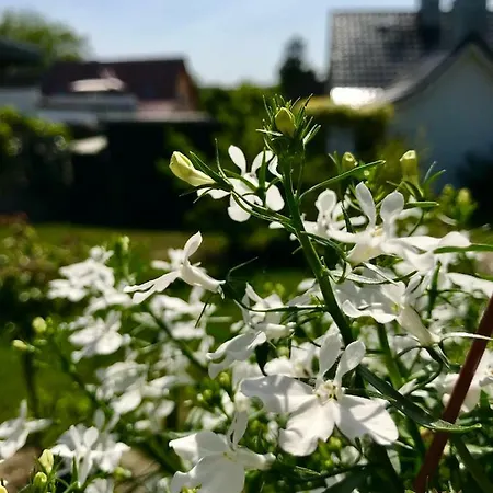 Lorenz Privatunterkunft *