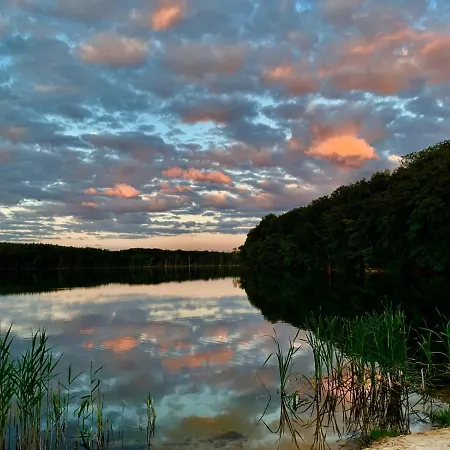 Lorenz كورسفانت